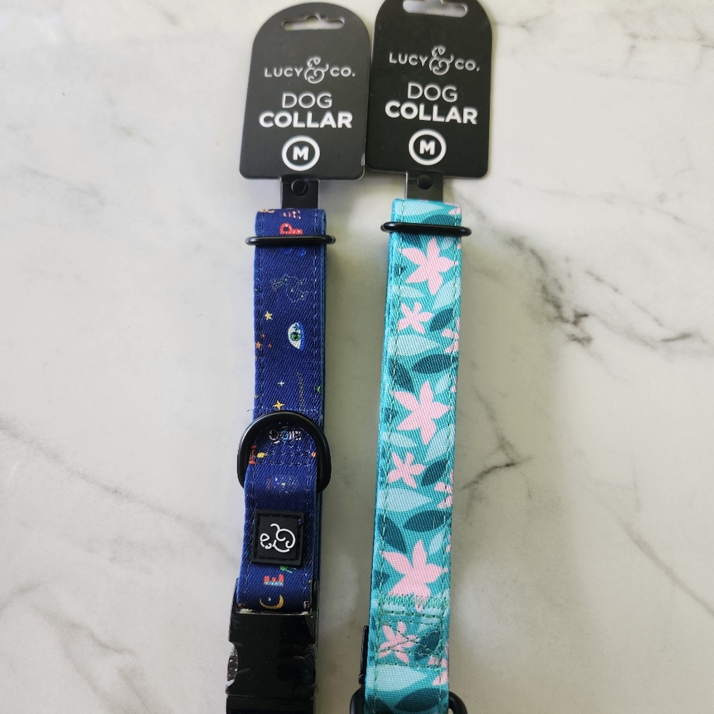 13 - 20 in dog collars